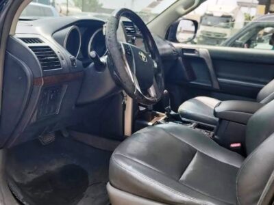 Clean 2010 Prado